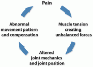 pain-cycle