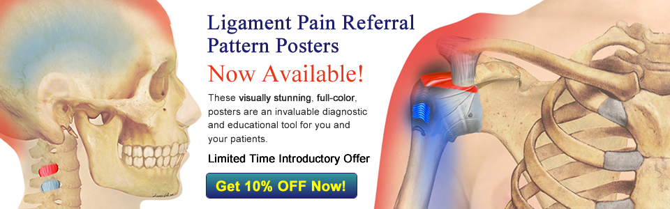Ligament Pain Referral Pattern Poster
